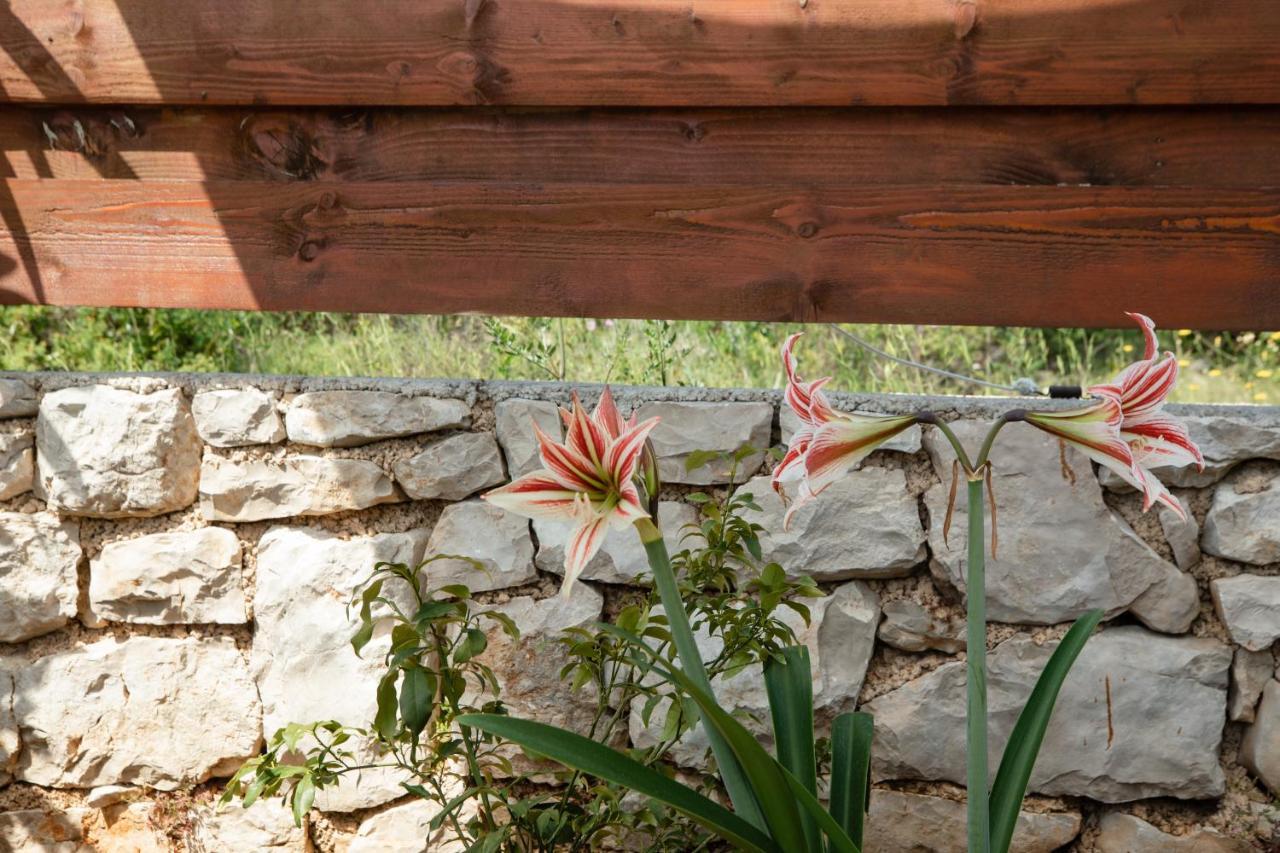 Apartament Zdena